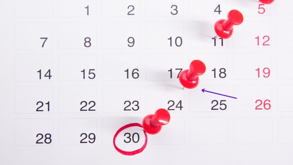 7 Tips Lapor SPT Tahunan PT Tanpa Kurang Bayar atau Denda